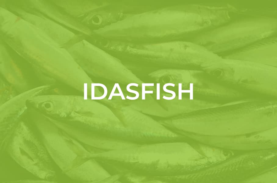 IDAS Fish — Website