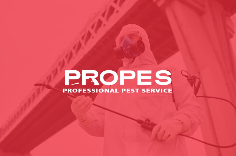 Pro-Pes
